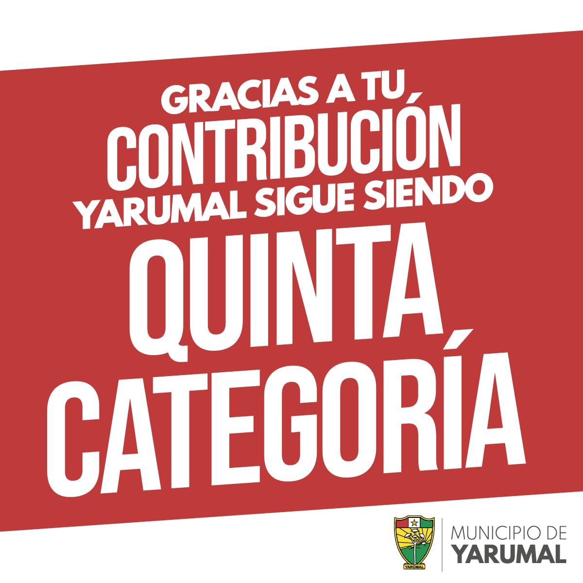 QUINTA CATEGORIA 2024