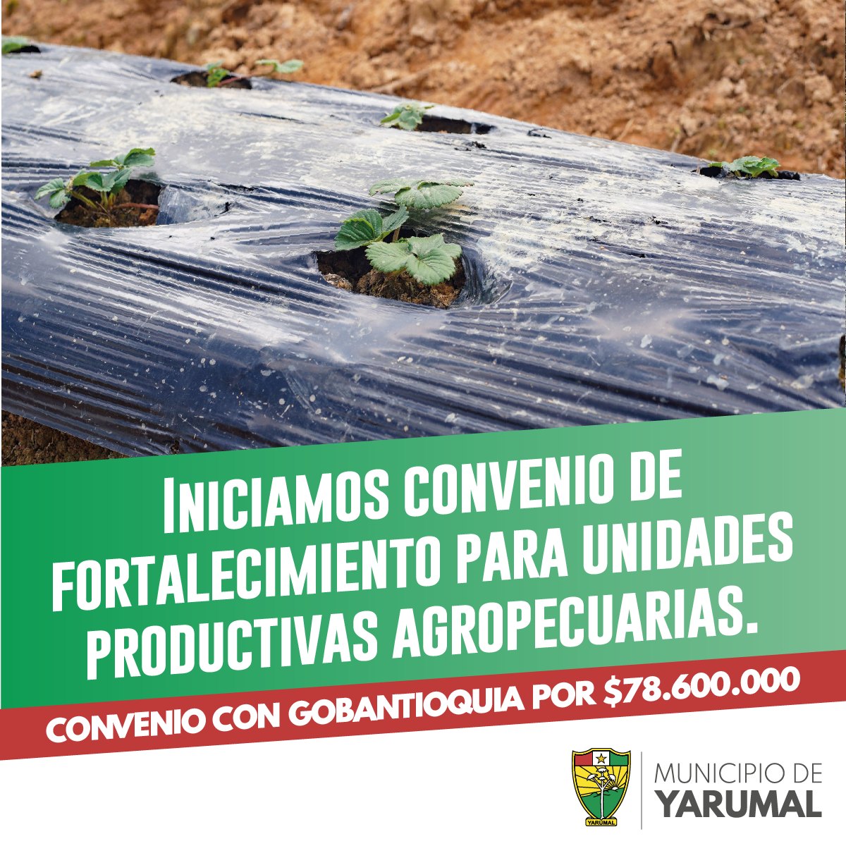 FORTALECIMIENTO PARA UNIDADES PRODUCTIVAS 2024